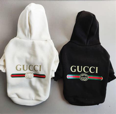 gucci hoodie dog|gucci collar for dogs.